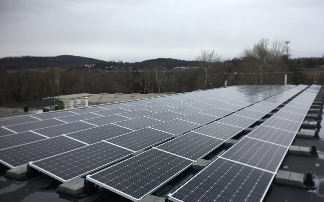 Many solar panels on roof of commercial building