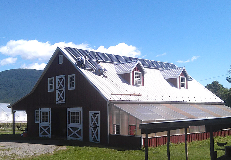 Home in forest with solar panels