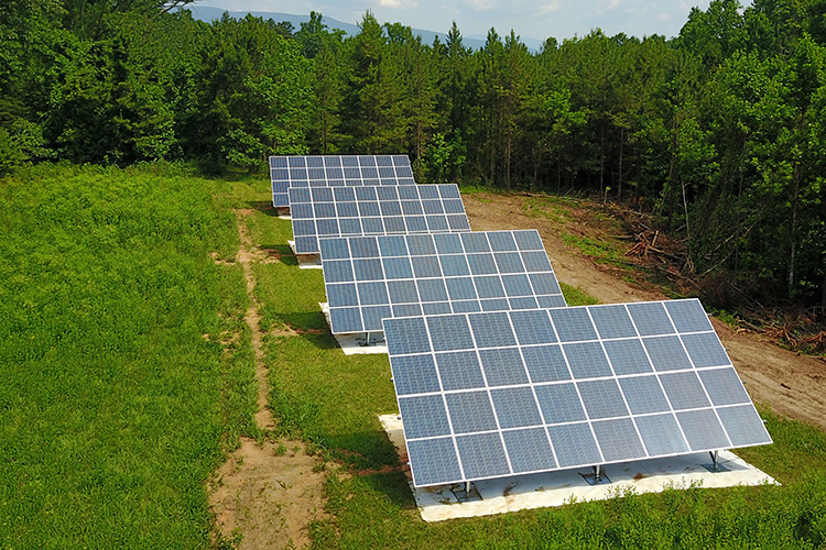 array of solar panels on farm